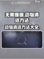 无限暖暖动物清洁怎么做介绍