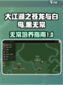 大江湖之苍龙与白鸟🔥黑无常培养秘籍🎉