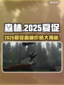 🔥《森林》夏促价曝光！2025Steam超值折扣来袭💥