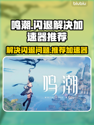 鸣潮⚡国服闪退解决方法+加速器推荐🎉截图1