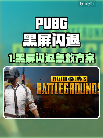🎮PUBG黑屏闪退？一招解决！截图1
