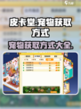 皮卡堂宠物怎么获得介绍