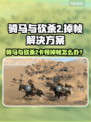 🎮骑马与砍杀2掉帧？这招让你秒变丝滑！