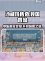 沙威玛传奇🔥：揭秘游戏归属国与公司背景！
