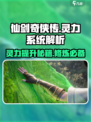 仙剑世界灵力有什么用介绍