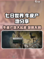 七日世界🔥牛皮产地大曝光！玩家必看💥