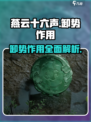 燕云十六声卸势有什么用介绍