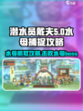 潜水员戴夫水母怎么抓介绍