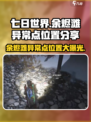七日世界余烬滩异常点在哪里介绍