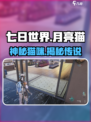 七日世界月亮猫是谁介绍