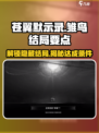 苍翼混沌效应🔥雏鸟结局达成条件全揭秘！🎮