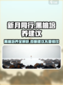 新月同行🔥黑桃培养全攻略，快速上分秘籍！
