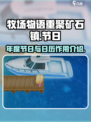 牧场物语重聚矿石镇年度节日介绍介绍