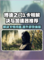 博德之门3卡顿💥用这款加速器轻松解决！