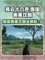 燕云十六声难因善果攻略介绍