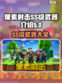 像素射击SS武器有哪些介绍