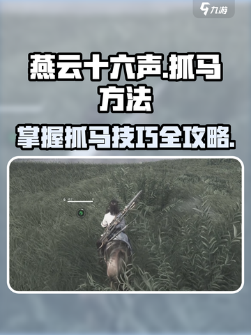 燕云十六声怎么抓马介绍截图1