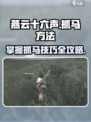 燕云十六声怎么抓马介绍