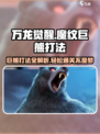 万龙觉醒🔥魔纹巨熊打法超详细攻略来了！
