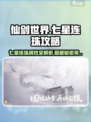 仙剑世界✨七星连珠终极攻略，属性揭秘🔥