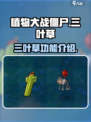 植物大战僵尸杂交版三叶草怎么样介绍