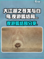 大江湖之苍龙与白鸟夜游狐🔥结局全揭秘！