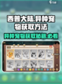 西普大陆手游异种怎么获得介绍