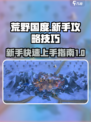 荒野国度新手攻略介绍