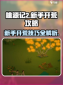 桃源记2🔥新手必看！快速开荒秘籍💎