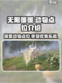 无限暖暖动物在哪里介绍