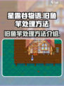 星露谷物语旧鱼竿怎么处理介绍