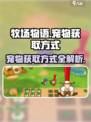 牧场物语重聚矿石镇宠物如何获取介绍