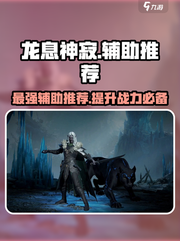 龙息神寂T0辅助有哪些介绍截图1