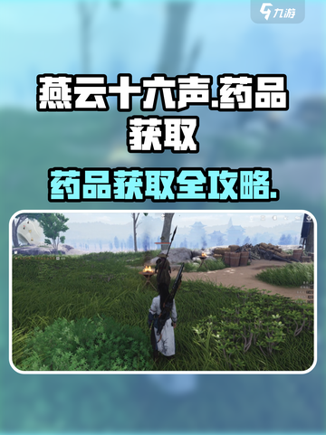 🎮燕云十六声药品获取全攻略！截图1