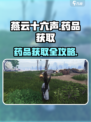 🎮燕云十六声药品获取全攻略！