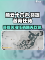 燕云十六声🔥菩提苦海任务通关攻略🌟