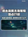 潜水员戴夫海葡萄地点大揭秘！🎮🌊