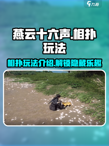 燕云十六声相扑在哪介绍截图1
