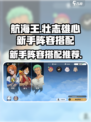 航海王壮志雄心新手阵容分享介绍