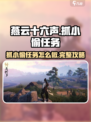 燕云十六声抓小偷任务怎么做介绍