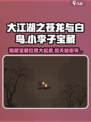 《大江湖之苍龙与白鸟》小李子宝藏位置🔥独家揭秘！👇