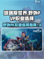塔瑞斯世界野外pvp选哪个职业介绍