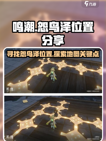 鸣潮怨鸟泽在哪介绍截图1