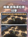 鸣潮怨鸟泽在哪介绍