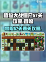 植物大战僵尸杂交版冒险57关怎么过介绍