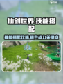仙剑世界技能搭配介绍介绍