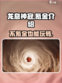 龙息神寂不花钱能玩吗介绍