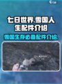 七日世界雪国人生配件介绍介绍