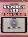 鬼谷八荒跟屁虫是什么介绍