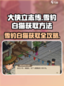 《大侠立志传》雪豹白猫获取方法🔥大梁城秘籍揭露！